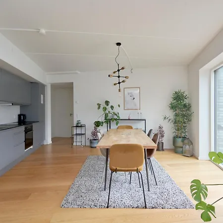 Beautiful Flat With 3 Bedrooms And 2 Baths 哥本哈根